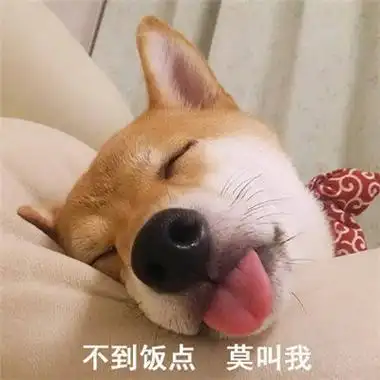 搞笑斗图带字可爱表情包合集有志少女先谋生后谋爱