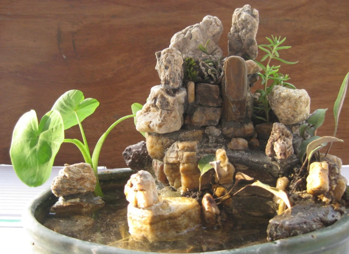 小型假山盆景制作之小型真石假山制作