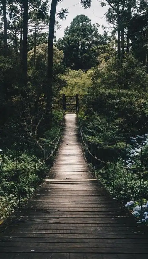绝美风景手机壁纸