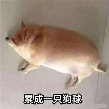 全新趣味的逗比聊天表情包大全