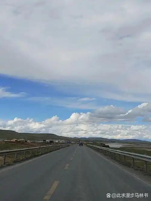 青海无人区三人拦路砸车事件,没想到真相竟然是这样的,太意外了,本