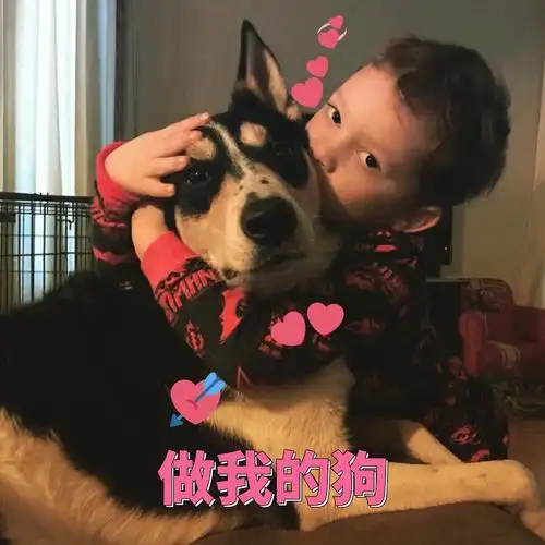 and the rhythm～单曲循环ing,x的好像谈恋爱啊,七夕前赐我一个男朋友