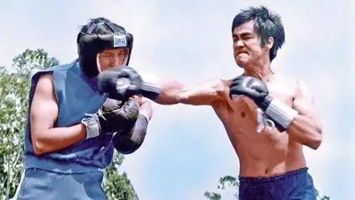 谁说李小龙没有实战?他19岁就可以秒杀200斤的拳击冠军