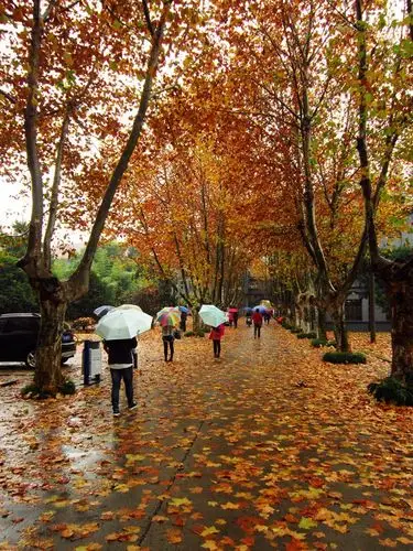 【扬州大学瘦西湖校区摄影图片】扬州大学风光摄影_太平洋电脑网摄影