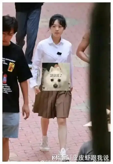 娱乐:肖战,赵丽颖,刘亦菲,迪丽热巴,成毅,陈都灵郭碧婷