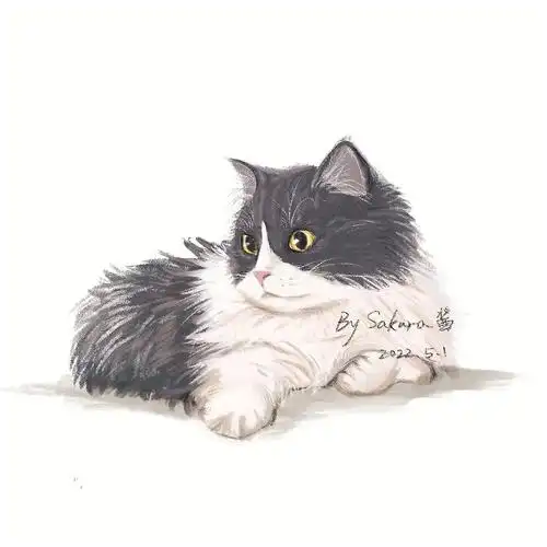 procreate小猫咪手绘有过程图小白友好