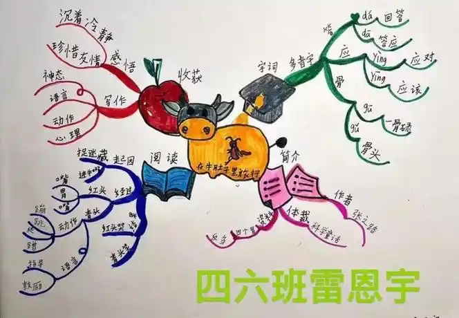 这些同学分享了他们的读书收获|思维导图|读书|手抄报_新浪新闻