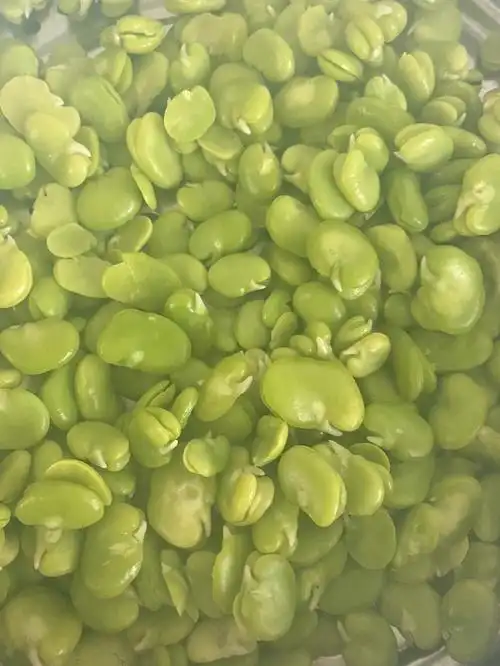 时令蚕豆饼做法:蚕豆去皮,锅里蒸熟榨汁机搅碎,放牛奶05鸡蛋04糖