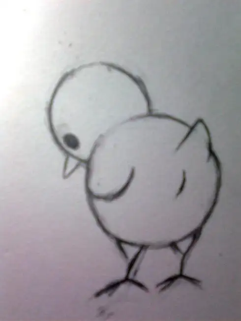 怎么画最简单的素描小鸡