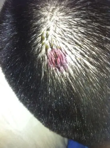 小孩不小心撞到衣柜角,头部红肿,不见流血,需上医院做检查吗