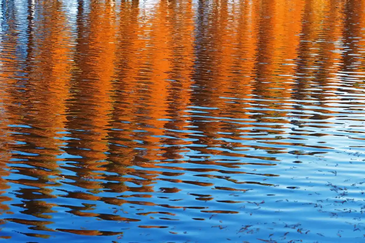 安静下来欣赏这油画般的风景