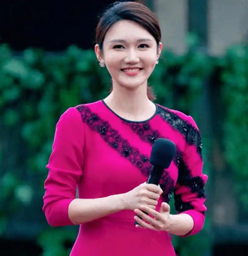 央视主播龙洋:从湖南走出的著名主持人,男友在雾中迷路了_播音_专业