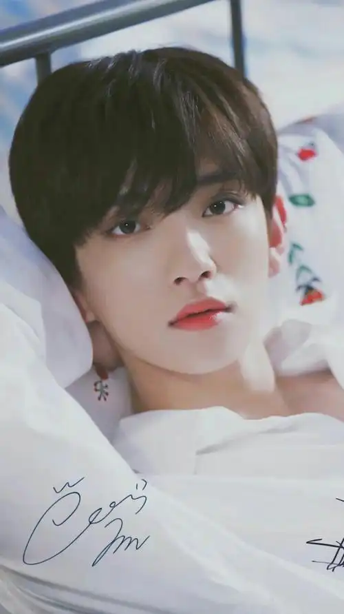 seventeen洪知秀篇