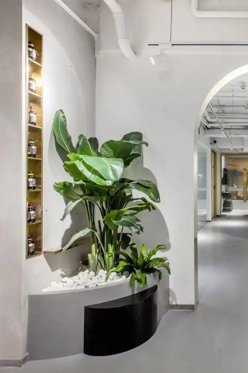 绵阳德阳室内景观设计仿真植物仿真树批发厂家公司