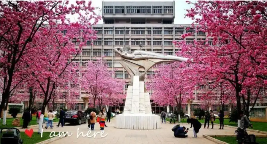 这所怎么样——昆明理工大学附属中学高考补习部