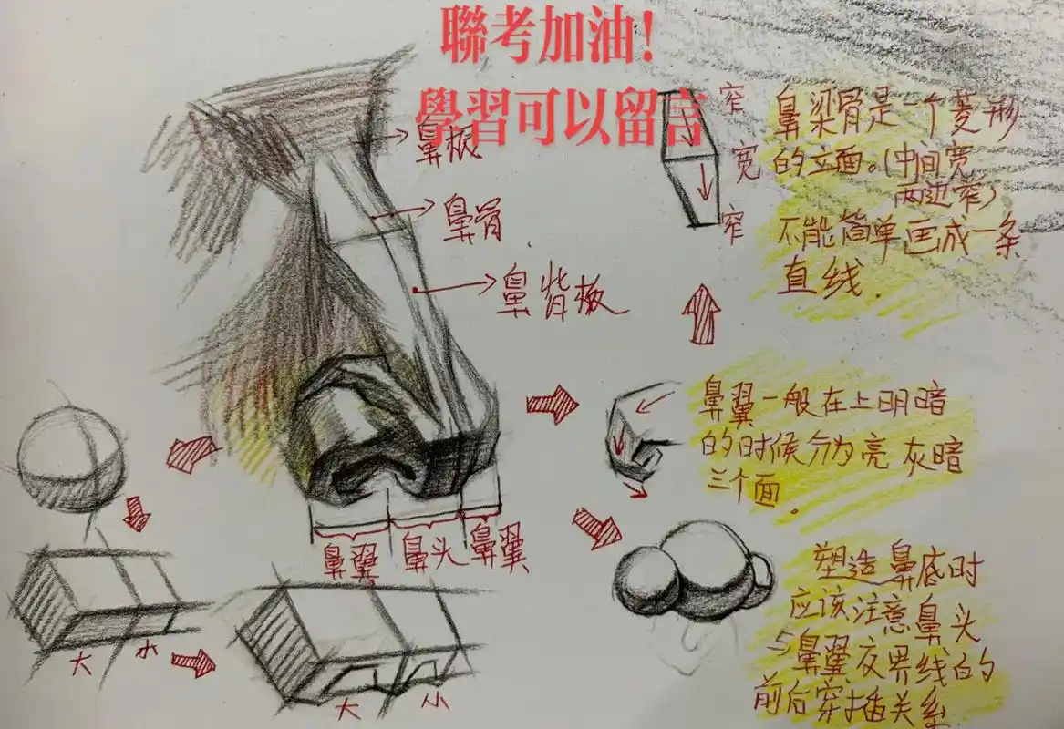 联考加油!五官局部鼻子分析#素描 #美术生 #美术艺考 #零 - 抖音