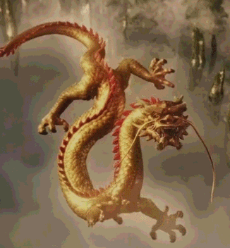 344_371gif 动态图 动图