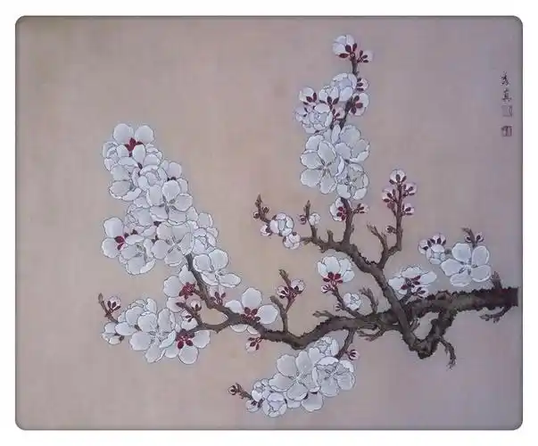 《杏花图》