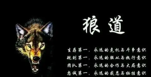 墨菲定律 鬼谷子 人性的弱点 九型人格 狼道原著成功励志书畅销书排行