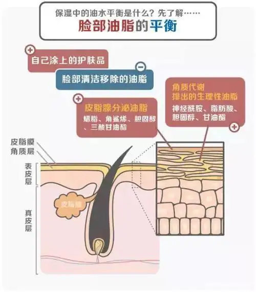 总被柜台忽悠说"水油不平衡"?其实套路深!为什么皮肤又油又干?
