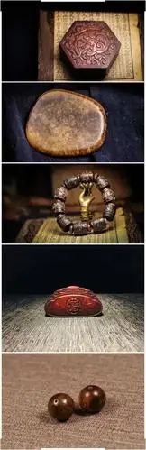 唯一能合法收藏的犀角,你见过吗?_亚洲