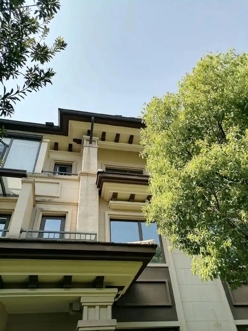 龙湖湘风原著新出中户