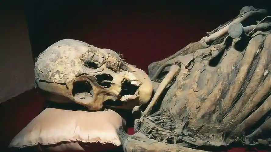 人死后,变成一堆白骨的时间需要多久?今天可算知道了!