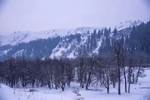 开启冬季新疆之旅(库尔德宁林海雪原,独山子大峡谷).