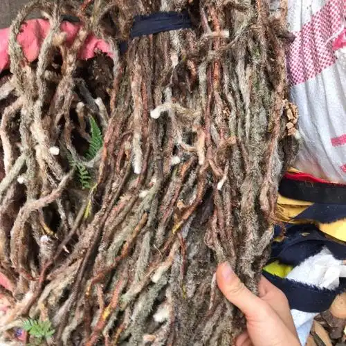 中草药白毛蛇上树蛇白毛伸筋毛石蚕石祈蛇白毛骨碎补干品500g