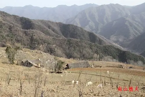 流峪寺村_今日蓝田_蓝田论坛_蓝田在线