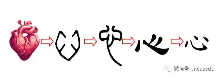 双语解字chinesecharacters03heart心