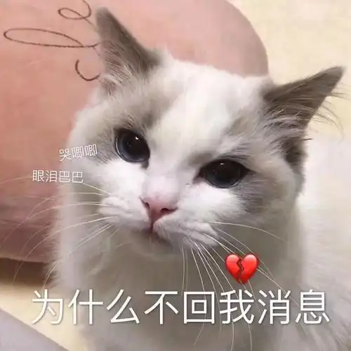 表情包聊天必备表情包合集100多张快来拿