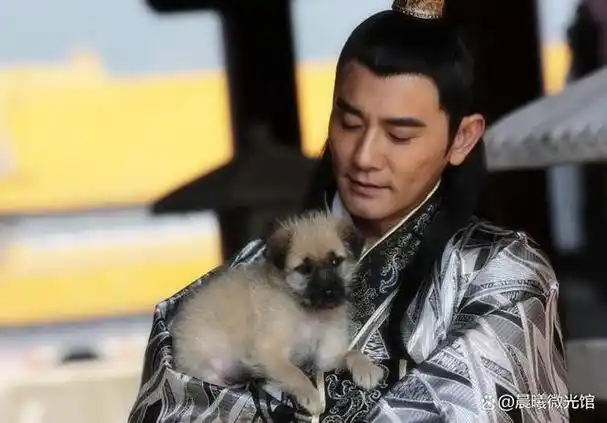 赵文瑄:出道零绯闻,住在乡下800平方米大别墅,63岁仍未婚未育