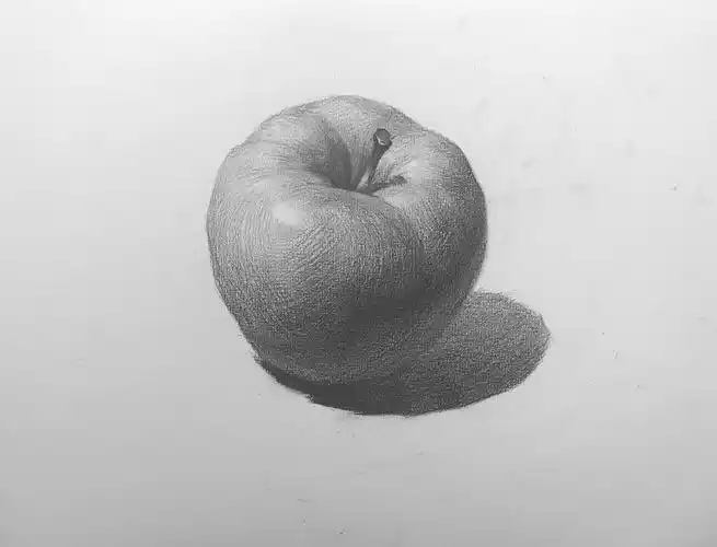 单个静物素描单个静物素描图片