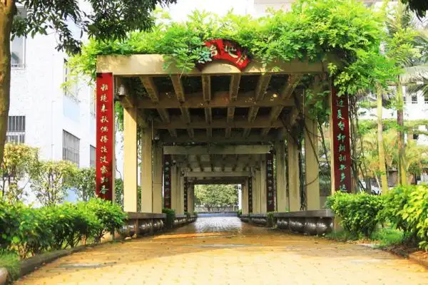 番禺石楼中学地址番禺区石楼中学地址