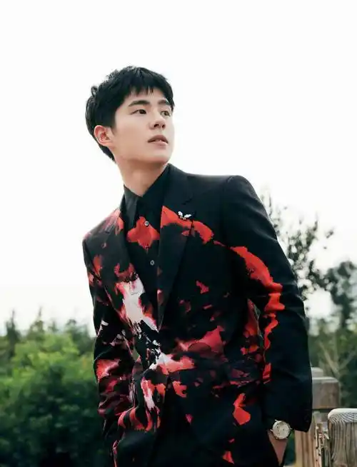 谁家少年初长成,刘昊然最新线下造型,泼墨西装精致优雅_装饰_气息
