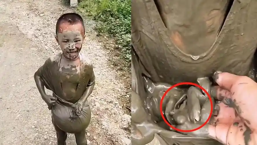 满满的回忆男孩抓泥鳅全身都是泥巴这才是童年该有的样子