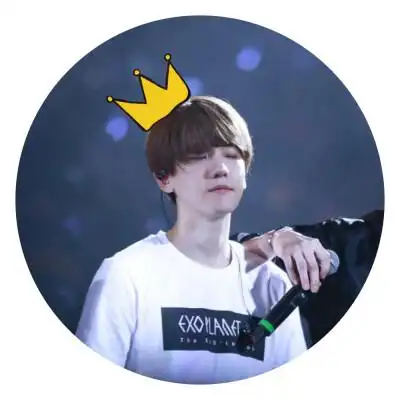 勋白情头 边伯贤 自截/自做