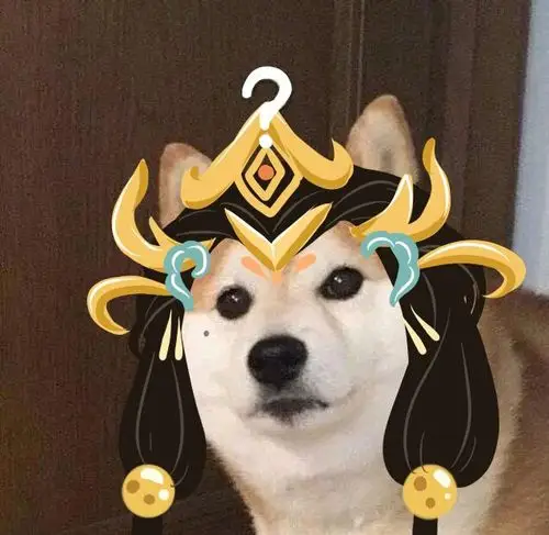 还是这个系列的狗头问号表情包h-沧耳