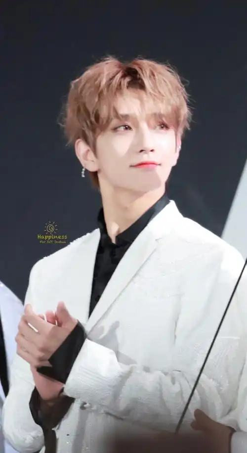 joshua 洪知秀 seventeen