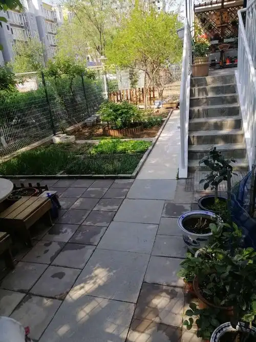 一楼邻居家的小庭院