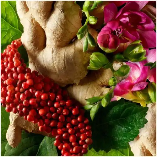 molton brown fiery pink pepperpod eau de toilette 50ml