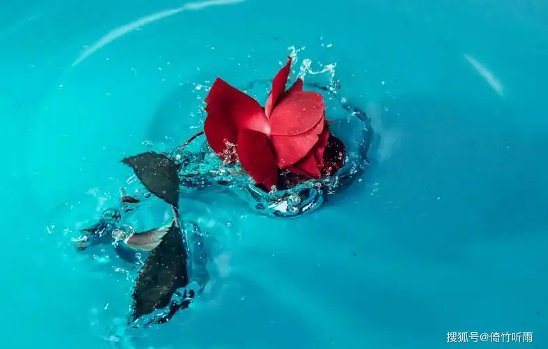 十二星座 | 2021年01月下旬综合运势