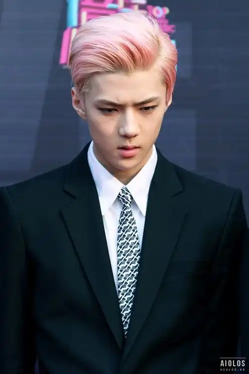 求吴世勋粉色狼奔头的照片