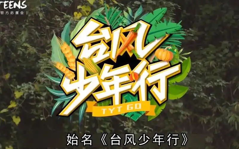 台风少年团tyt用文盲文方式打开台风少年行