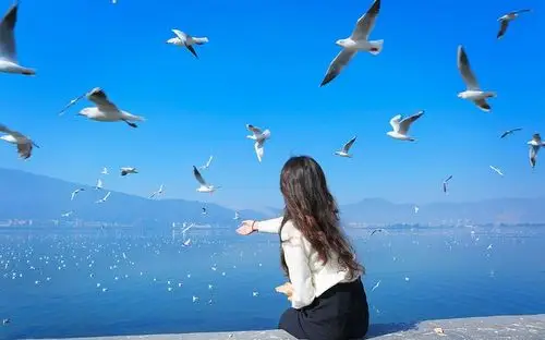 长发文艺美女海鸥合影小清新人物高清壁纸55壁纸网