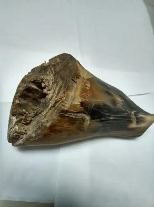 急须各古玩爱好者帮帮忙,鉴定一下此东西是否是犀牛角.谢谢