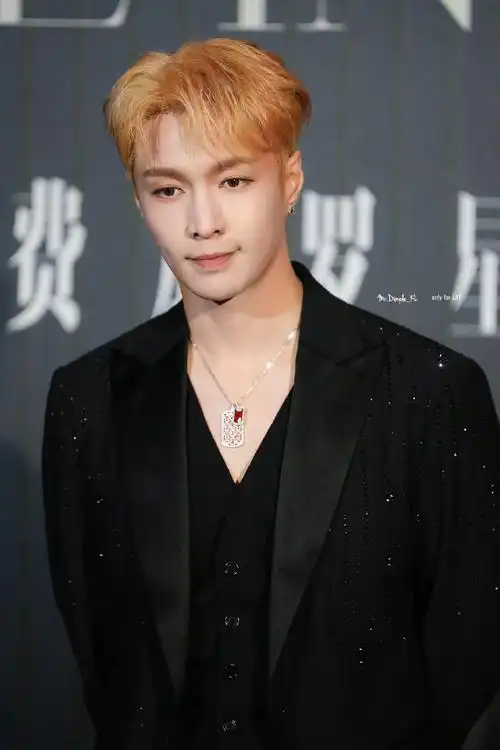 戛纳晚宴上的张艺兴