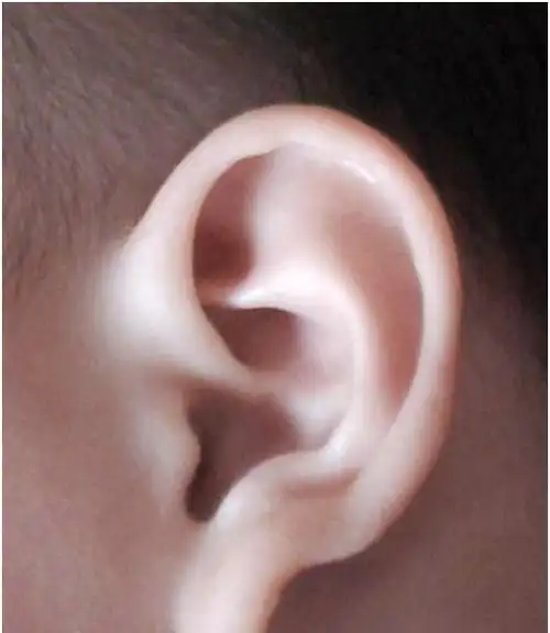 心理测试:第一眼你觉得耳朵是什么形状,测你是富贵命还是劳碌命