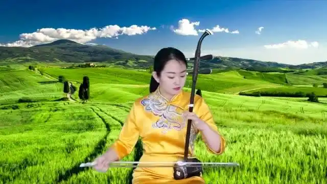 奔腾在草原上是什么感觉?这位美女的二胡演奏格外动人